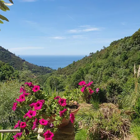 Фермерский дом Agriturismo Costa Di Campo