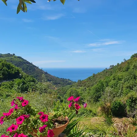Costa Di Campo