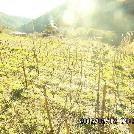 Alloggio per agriturismo Costa Di Campo *
