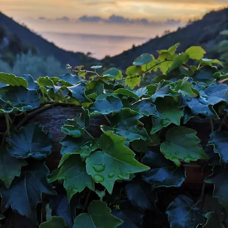 Costa Di Campo *