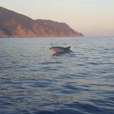 Costa Di Campo Çiftlik konaklama Vernazza