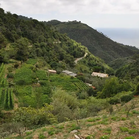 Çiftlik konaklama Costa Di Campo Vernazza