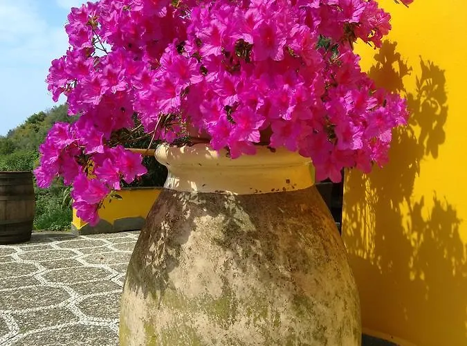 Costa Di Campo *
