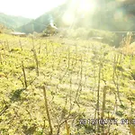 Alojamento de Turismo Rural Costa Di Campo *