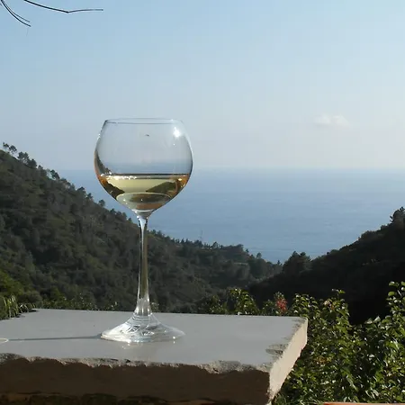 Farm stay Agriturismo Costa Di Campo Vernazza