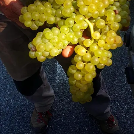 Costa Di Campo Vakantieboerderij *