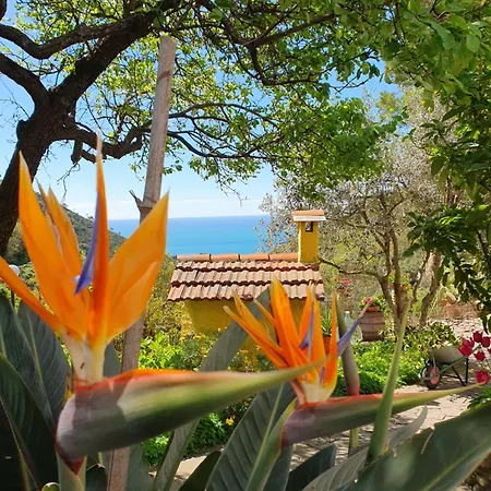 Agriturismo Costa Di Campo Farm stay *