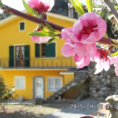 Agriturismo Costa Di Campo *