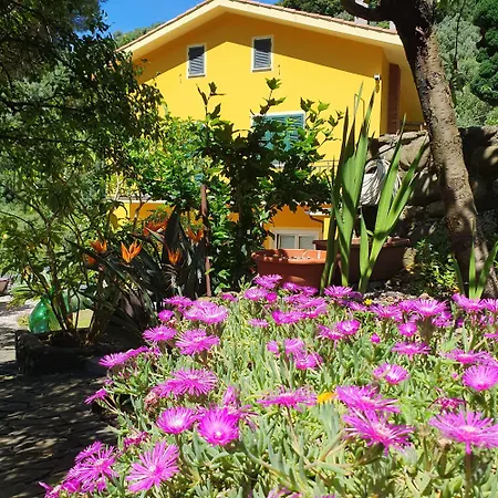 Bauernhof Costa Di Campo Vernazza