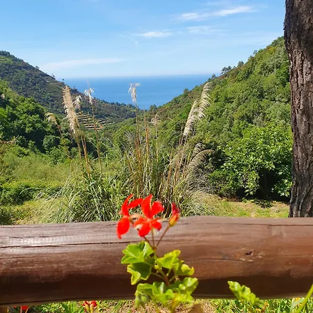 Bauernhof Costa Di Campo Vernazza