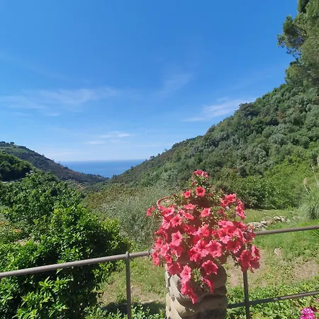 Bauernhof Costa Di Campo *