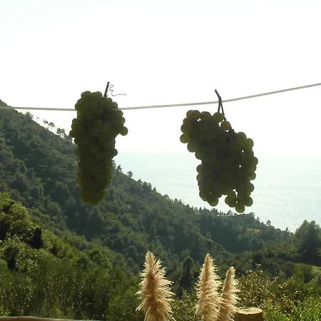 Agriturismo Costa Di Campo * Vernazza