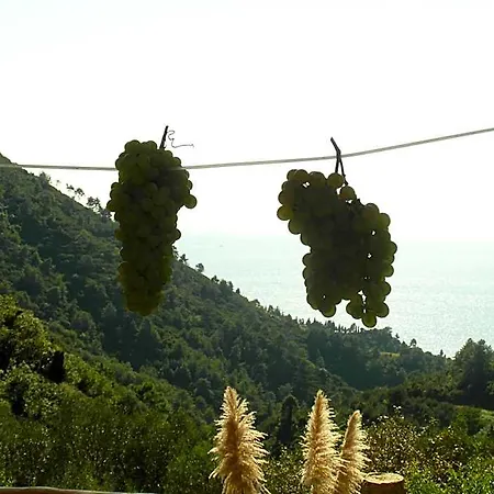 Costa Di Campo Farma