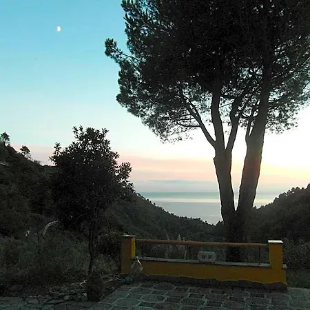 Costa Di Campo Farma Vernazza