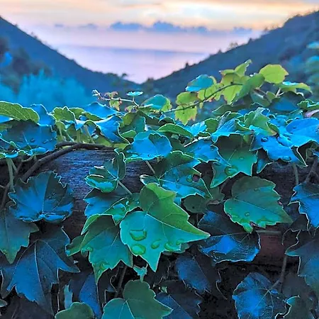 Costa Di Campo 베르나차