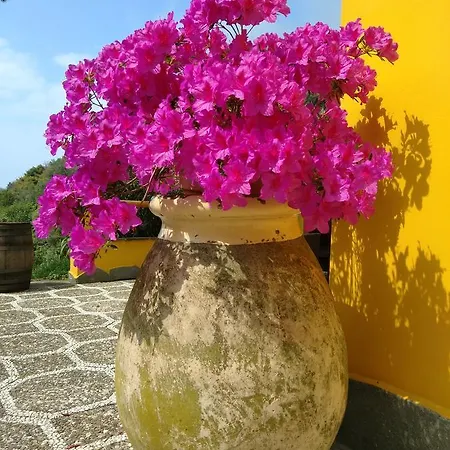 Agriturismo Costa Di Campo *