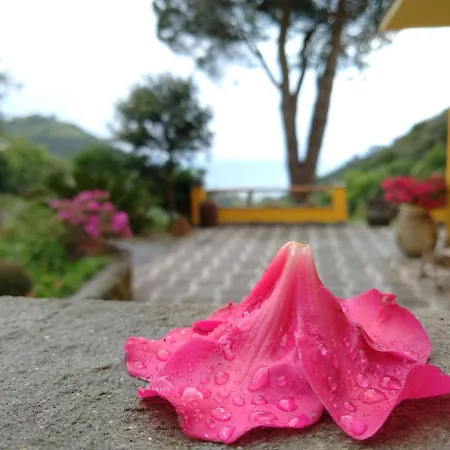 Agriturismo Costa Di Campo