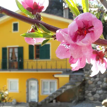 Agriturismo Costa Di Campo * Vernazza