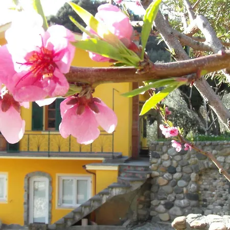 Vakantieboerderij Costa Di Campo *