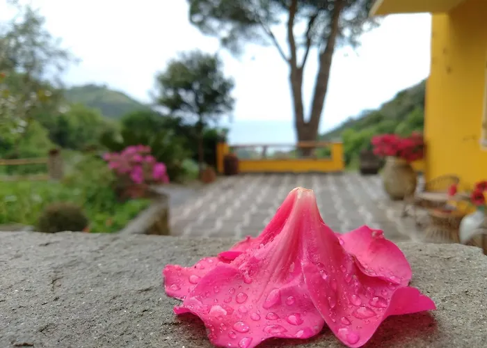 哥斯达黎加迪坎普农庄住宿加早餐旅馆