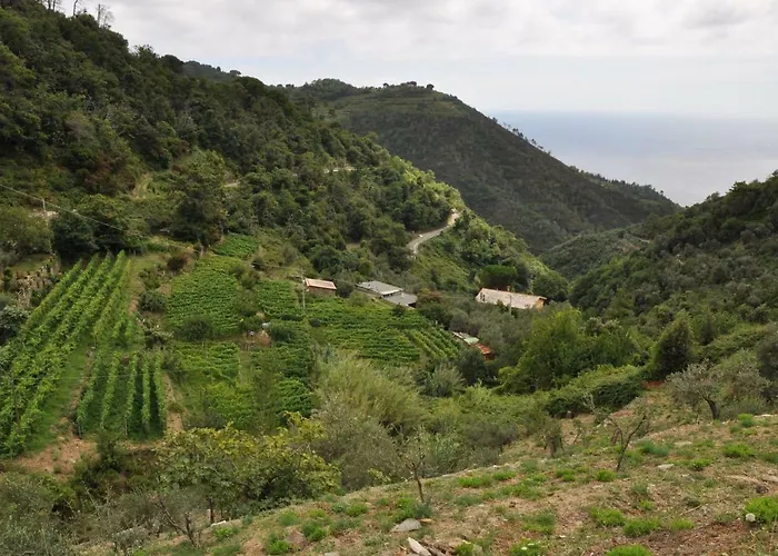 Alojamento de Turismo Rural Costa Di Campo Vernazza